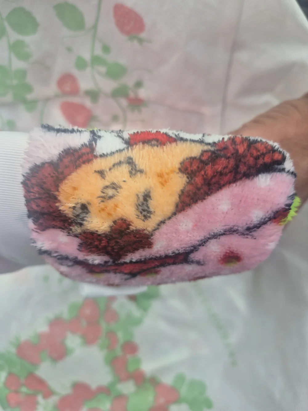 Strawberry Shortcake Super Soft Travel Blanket 40